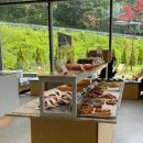 발레나식스 이미지