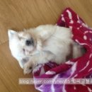 봄내병원 이미지