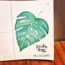 수채화캘리그라피 이미지