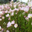 회동수원지 이미지