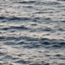 무의대교 공영주차장(추가) 이미지