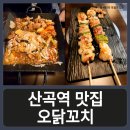 [인천 산곡역 맛집] &#34;오닭꼬치&#34; 직화닭꼬치 직화구이 야식 꼬치전문점 산곡호프집 내돈내산 후기