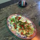 주주애견 이미지