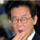 당당하개 이미지