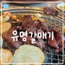 유명갈매기 | [성남/야탑] 최고의 야탑 갈매기 맛집을 찾아서 2 :: &#34;유명갈매기&#34; 내돈내산 후기