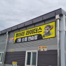 병아리라이더스 이미지