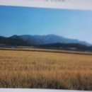 동주축산 이미지