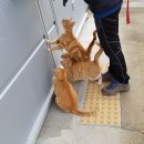 요섭농장 이미지