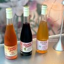 복희민박 | 논알콜 와인 추천, 츄퍼 선셋 스프리츠 화이트와인 풍미 가득