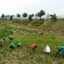 새마을로-1 이미지