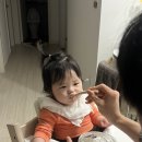 토브네, 1월 둘째주 일상 기록 ( 블로그 복구바람 ..😭 )