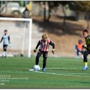 군산수송공원 이미지