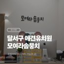 대구애견미용 모여라솜뭉치 | 대구 달서구 댕댕이들의 천국 100평 실내에서 미용...유치원 호텔까지 한번에 해결 가능한 모여라솜뭉치