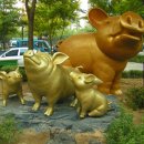 황금돼지 이미지