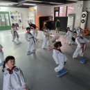 용인대월드태권도장 이미지