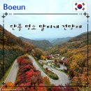 (주)보은바이오테크 | 지금 꼭 가야 할 가을 여행지 단풍 명소 1.(충북 보은 말티재 전망대 현재 단풍 현황)