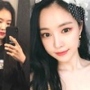 요정참치