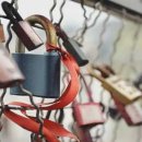 꿈이 자라는 나무 이미지