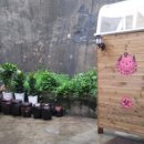 복어마을 이미지