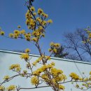 부킹나이트 이미지