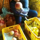 사암농장 이미지