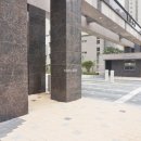 더펠리체