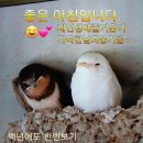 숑 - 서귀포시 | 숑