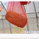 메주섬 네이버블로그
