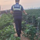 김제경찰서 이미지