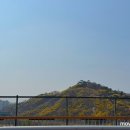 서울숲 무지개터널 앞 이미지