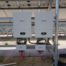 두성 태양광발전소 이미지