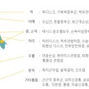 이성용재활의학과의원 이미지