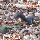 감투봉약수터 이미지