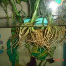 길상초등학교 이미지