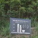 톡톡광고사