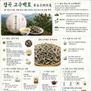백호산업 | #보이차공부 #경곡고수백호
