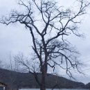 행복한농촌체험휴양마을 이미지