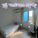 길여관 | 강릉 게스트하우스 수목여관 여자 혼자여행 1인실 숙소 내돈내산 후기