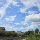 오금상촌공원 화장실 이미지