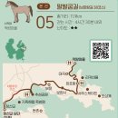 본선5코스 말발굽길(남파랑길38) / 11.9km / 4시간 30분 내외 이미지