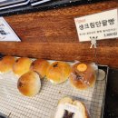 성읍리 느티나무 및 팽나무군 | 제주여행 둘째날(2): 성읍민속마을 느티나무와 팽나무, 먼길 찾아가본 빵집 제일 성심당