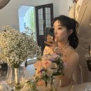 이든청과 | “오브라 마에스트라” 청담 스튜디오 웨딩촬영 솔직후기💃 드레스(클라라웨딩)헤어메이크업(유니크헤어)