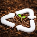 선두목장 이미지