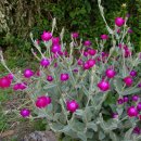 꽃소아청소년과의원 이미지