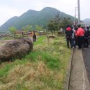 고인돌 역사공원 이미지