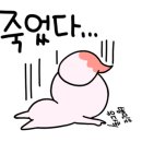 묘한인생