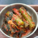 여수아일랜드 골프&리조트 골프장 | 1-1 오션뷰 골프장 여수 디오션cc 1박2일 패키지 라운딩 후기