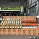 동탄자연주유소 이미지