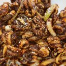 동굴 낙지와 쭈꾸미 이미지