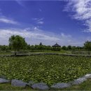 삼락생태공원 이미지